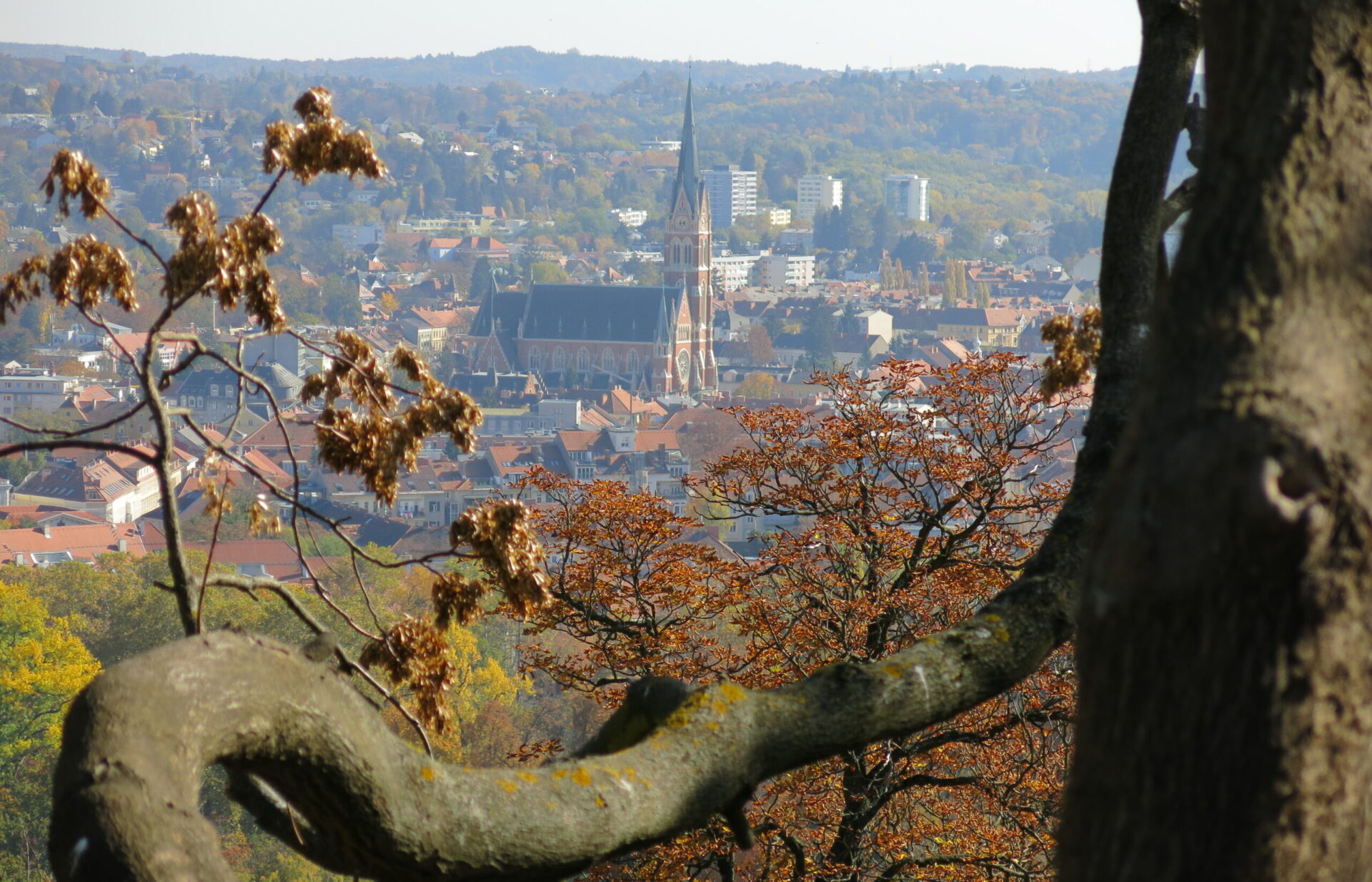 145年前の今日、Robert Stolzが誕生しました！